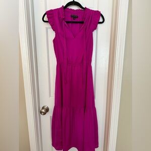 Banana Republic Magenta Dress